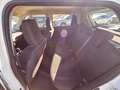 Suzuki Swift 1,2 DUALJET HYBRID CLEAR 1 Besitz Servicebuch Weiß - thumbnail 19