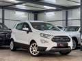 Ford EcoSport Titanium TECHNIK*WINTER*ASSISTPKT*B&O Wit - thumbnail 1