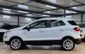 Ford EcoSport Titanium TECHNIK*WINTER*ASSISTPKT*B&O Wit - thumbnail 4