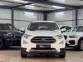 Ford EcoSport Titanium TECHNIK*WINTER*ASSISTPKT*B&O Wit - thumbnail 2
