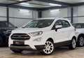 Ford EcoSport Titanium TECHNIK*WINTER*ASSISTPKT*B&O Wit - thumbnail 3