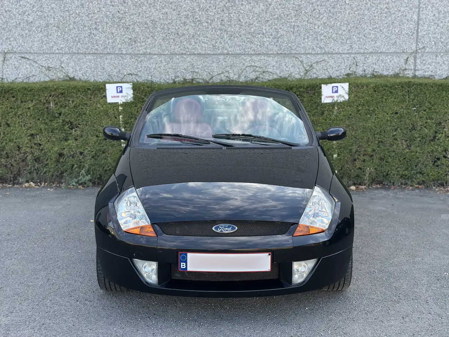 Ford Streetka 1.6 8V Elegance - 2