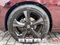 Nissan Micra IG-T N-Style Burgundy 100 Burdeos - thumbnail 13