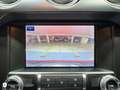 Ford Mustang 5.0 GT *Neuzustand*Recaro* Rouge - thumbnail 16