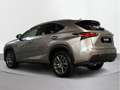 Lexus NX 300 300h Executive 4WD Tecno + Navibox - thumbnail 2