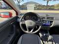 SEAT Ibiza 1.0 ECOTSI 95CH URBAN Rouge - thumbnail 9