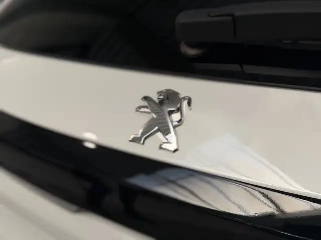 Peugeot 208 view 13