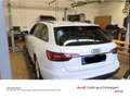 Audi A4 40 TDI S-tronic S-Line Competition Matr Weiß - thumbnail 8