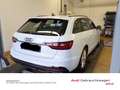 Audi A4 40 TDI S-tronic S-Line Competition Matr Weiß - thumbnail 6