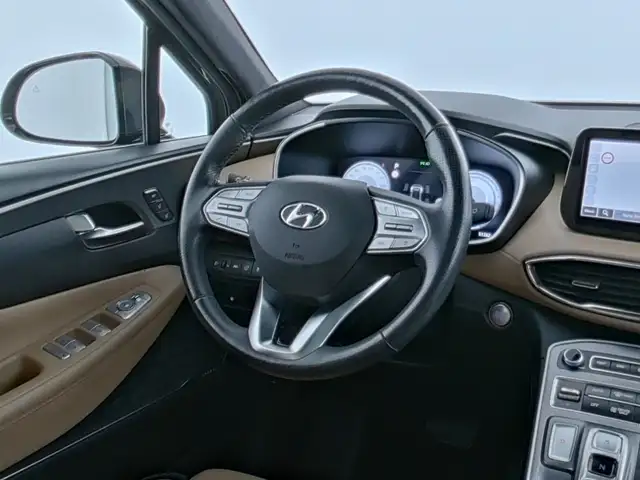 Hyundai Santa FE view 10