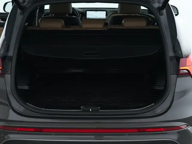 Hyundai Santa FE view 6