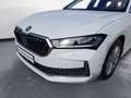 Skoda Superb 1.5 TSI mHEV DSG Selection Combi HeadUp A Weiß - thumbnail 12