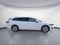 Skoda Superb 1.5 TSI mHEV DSG Selection Combi HeadUp A Weiß - thumbnail 5
