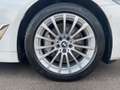 BMW 520 520 e (OPF)(Facelift) Weiß - thumbnail 22