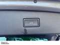 Volkswagen Tiguan 2.0 TDI 4M DSG NAVI AHK DCC LED ACC SHZ PDC LM Grau - thumbnail 13