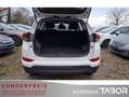 Hyundai TUCSON 1.6 Go Weiß - thumbnail 11