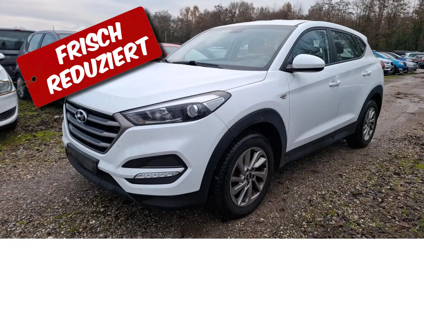 Hyundai TUCSON 1.6 Go Weiß - 2