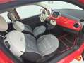 Fiat 500 Connect 1.0 Hybrid 52KW (70 CV) Rot - thumbnail 15