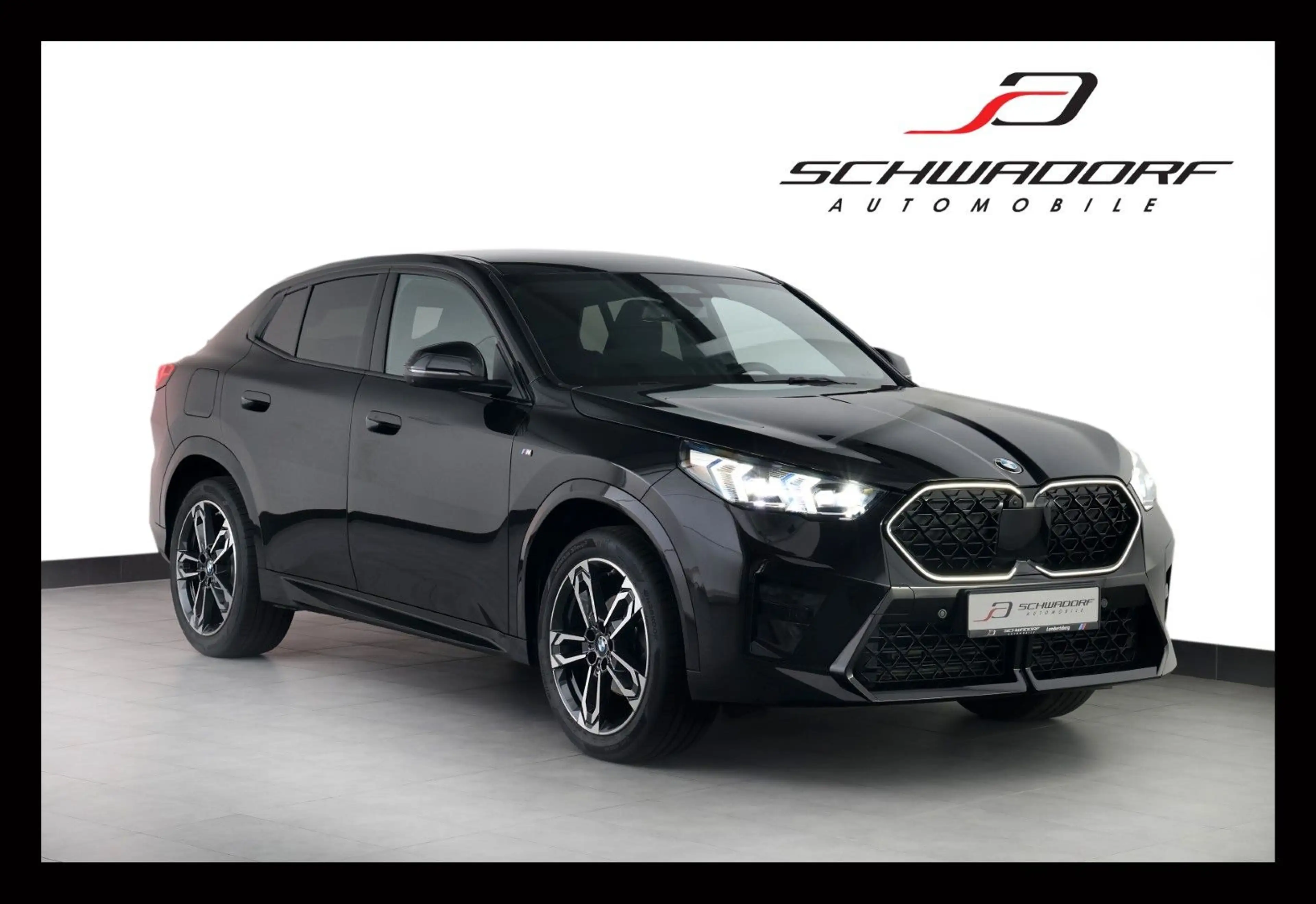 BMW X2 sDrive18d M Sport DriveProf H&K HUD 360° 19"