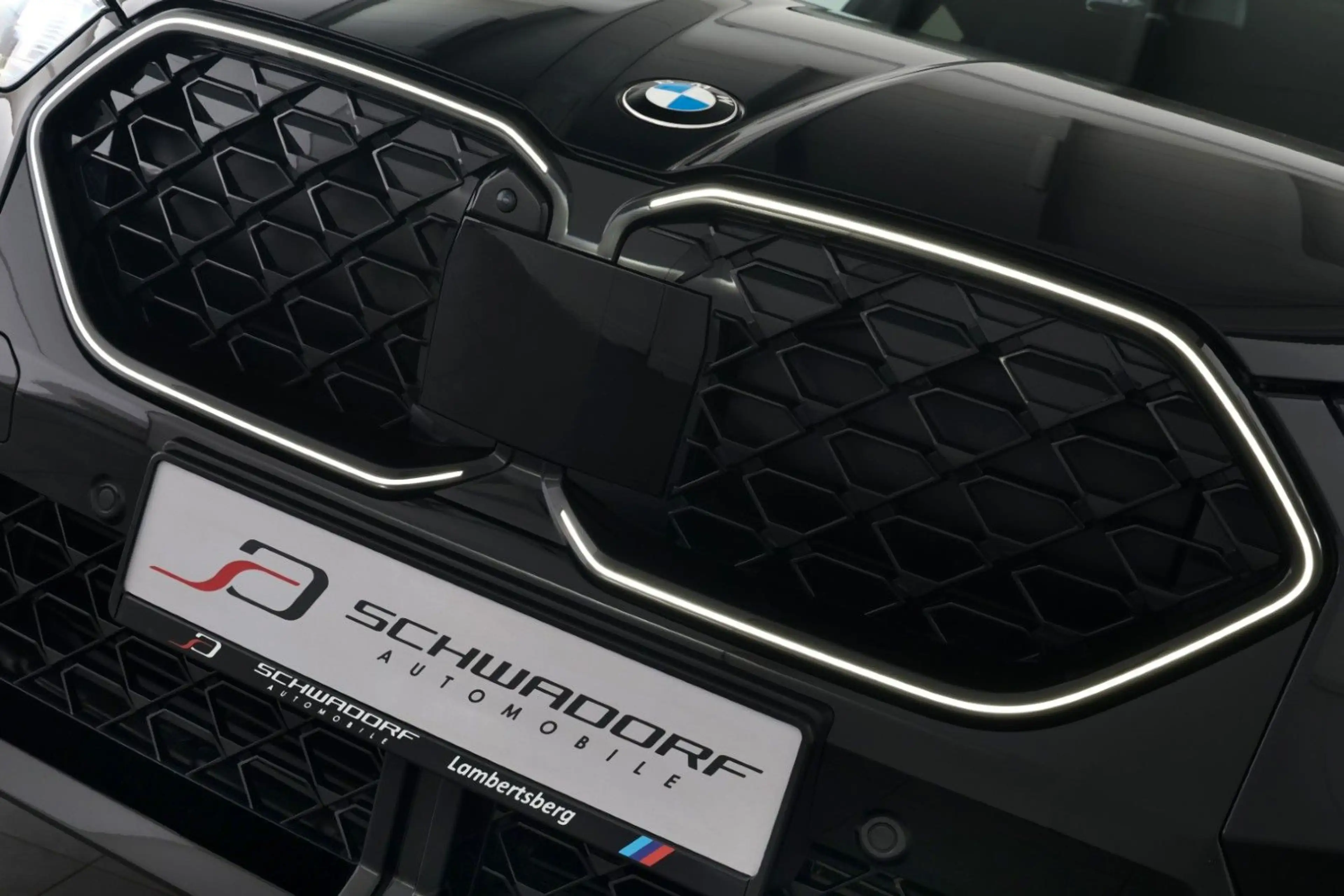 BMW X2 sDrive18d M Sport DriveProf H&K HUD 360° 19" — photo 5