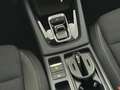 Skoda Octavia Selection TDI DSG Nero - thumbnail 12