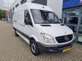 Mercedes-Benz Sprinter 311 2.2 CDI 366 EHD | L2 | H2 | automaat - thumbnail 11