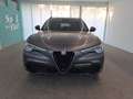 Alfa Romeo Stelvio 2.2 Turbo Diesel 210CV AT8 Q4 B-Tech Grigio - thumbnail 6
