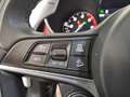 Alfa Romeo Stelvio 2.2 Turbo Diesel 210CV AT8 Q4 B-Tech Grigio - thumbnail 19