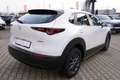 Mazda CX-30 2.0 M-Hybrid Prime-Line 2WD Weiß - thumbnail 6
