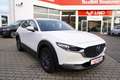 Mazda CX-30 2.0 M-Hybrid Prime-Line 2WD Weiß - thumbnail 4