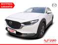 Mazda CX-30 2.0 M-Hybrid Prime-Line 2WD Weiß - thumbnail 1