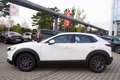 Mazda CX-30 2.0 M-Hybrid Prime-Line 2WD Weiß - thumbnail 10