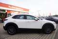 Mazda CX-30 2.0 M-Hybrid Prime-Line 2WD Weiß - thumbnail 5