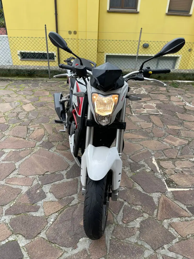 Benelli BN 251 - 1