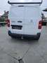 Peugeot Expert Expert 1.5 BlueHDi 120 L1 Blanc - thumbnail 4