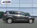 Ford S-Max Titanium 2.0 EcoBlue EU6d-T 7-Sitzer Panorama Navi Gris - thumbnail 5