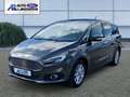 Ford S-Max Titanium 2.0 EcoBlue EU6d-T 7-Sitzer Panorama Navi Gris - thumbnail 1