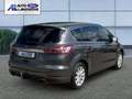 Ford S-Max Titanium 2.0 EcoBlue EU6d-T 7-Sitzer Panorama Navi Gris - thumbnail 6