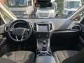 Ford S-Max Titanium 2.0 EcoBlue EU6d-T 7-Sitzer Panorama Navi Gris - thumbnail 11