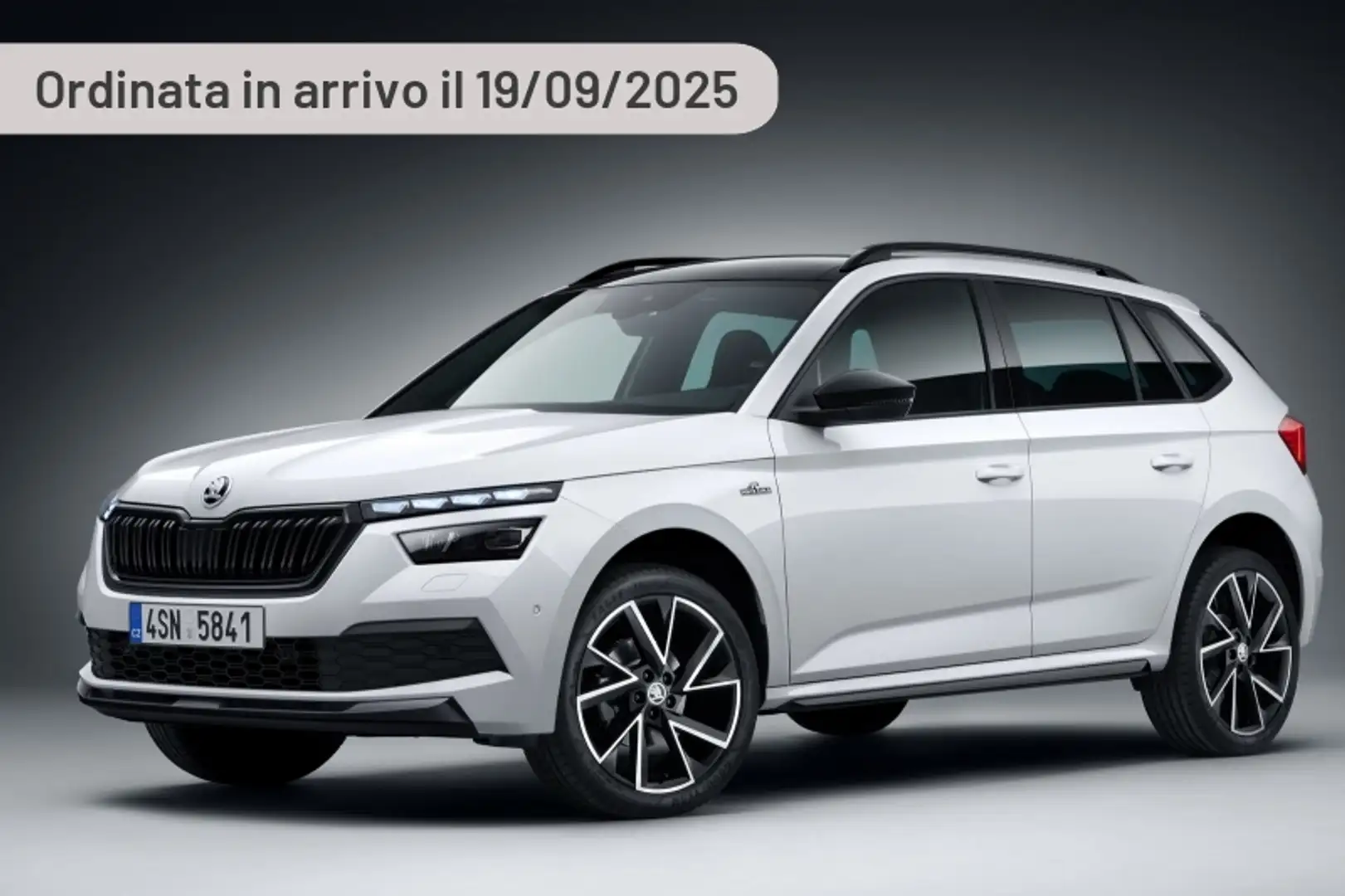 Skoda Kamiq 1.0 TSI Black Dots Argento - 2