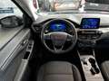 Ford Kuga Hybrid 2.5 Titanium #HYBRID #ALLRAD #AHK Grau - thumbnail 16