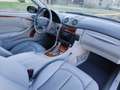 Mercedes-Benz CLK 200 320 Avantgarde Negro - thumbnail 5