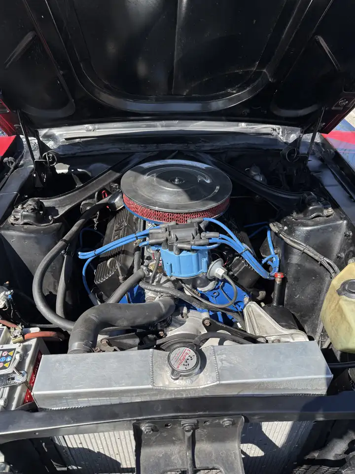Ford Mustang 289 V8, foto 6