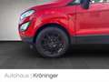 Ford EcoSport 1.0 Trend AHK Winterpaket EPH Rot - thumbnail 20