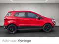 Ford EcoSport 1.0 Trend AHK Winterpaket EPH Rot - thumbnail 4