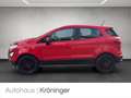 Ford EcoSport 1.0 Trend AHK Winterpaket EPH Rot - thumbnail 3