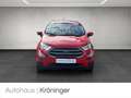 Ford EcoSport 1.0 Trend AHK Winterpaket EPH Rot - thumbnail 5