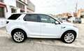 Land Rover Discovery Sport DISCOVERY SPORT 2.0D I4 MHEV R-DYNAMIC HSE AWD Weiß - thumbnail 4