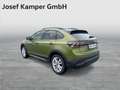 Volkswagen Taigo Friends TSI Grün - thumbnail 3