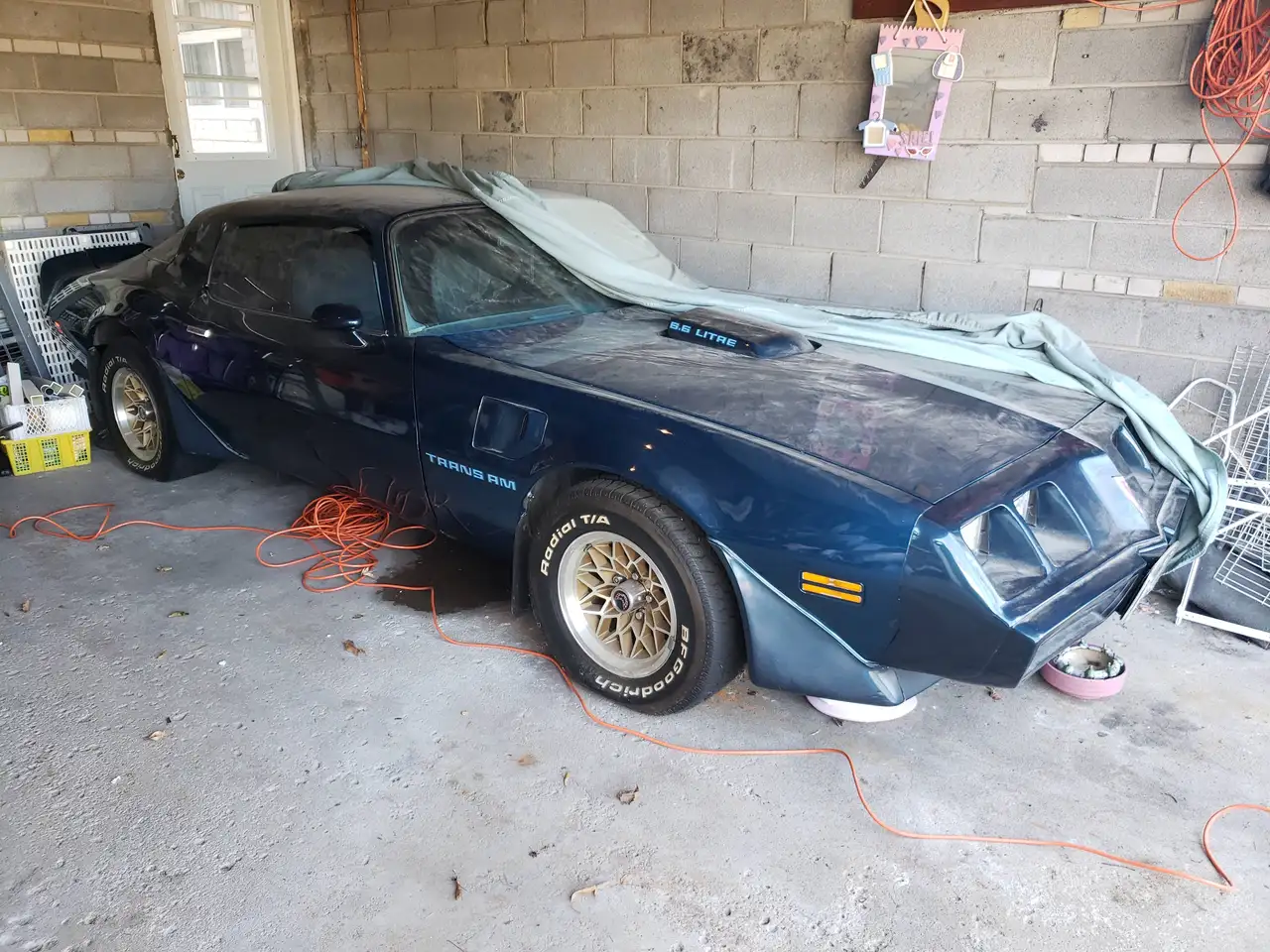 1979 Pontiac Firebird